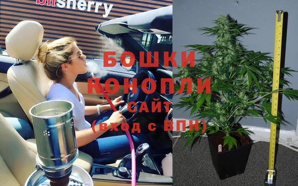 jwh Новозыбков
