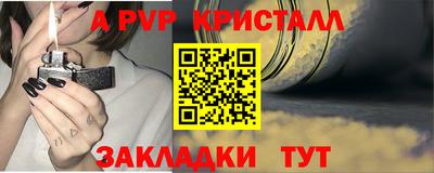 spice Гатчина