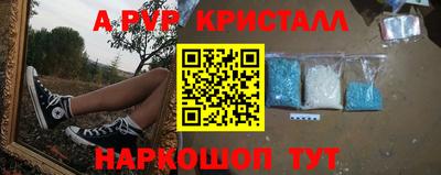 spice Гатчина