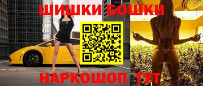 spice Гатчина