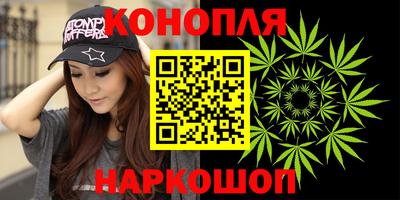 spice Гатчина