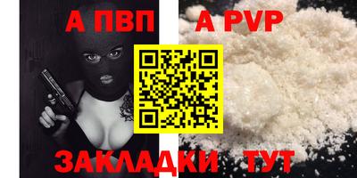 spice Гатчина