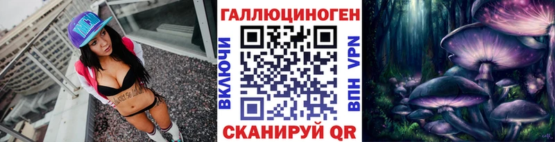 купить наркотики сайты  Новоуральск  маркетплейс какой сайт  Псилоцибиновые грибы Psilocybe 