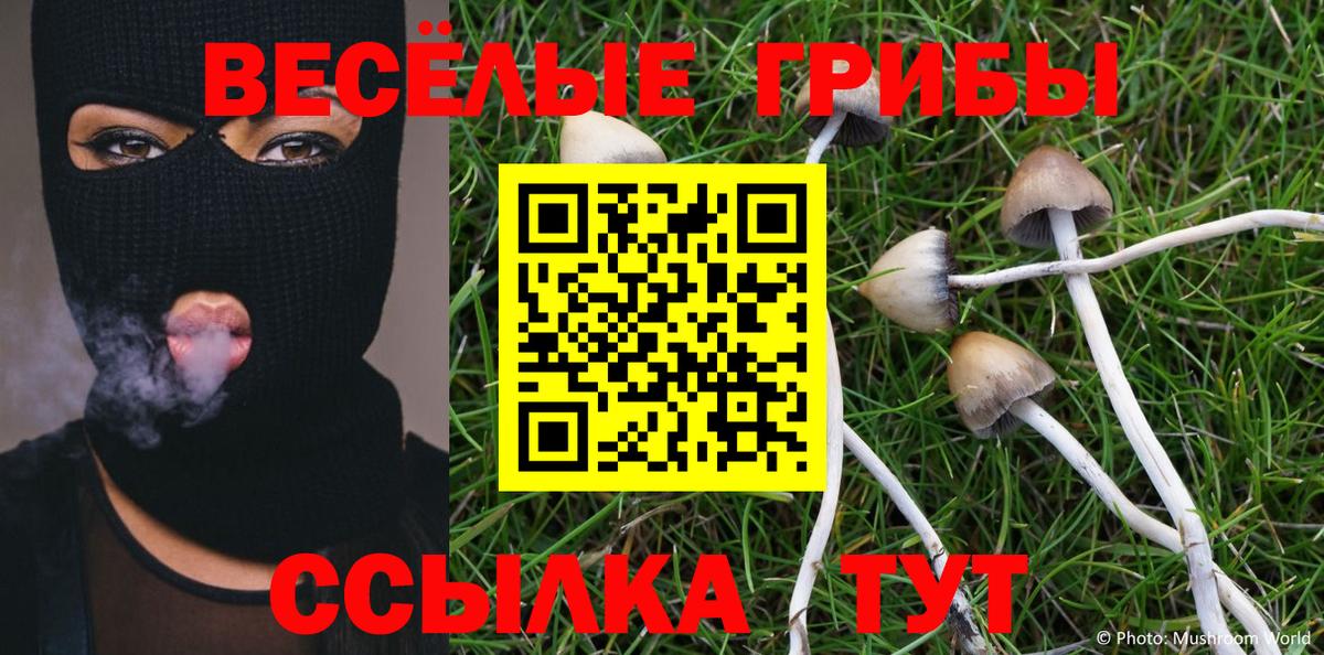 Псилоцибиновые грибы GOLDEN TEACHER  Вход с VPN  Галлюциногенные грибы Magic Shrooms  Новоуральск 